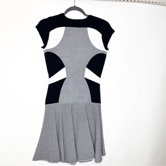 Diane von Furstenberg Renee Colorblock Drop-Waist Black Gray Knit Dress - Picture 3 of 5